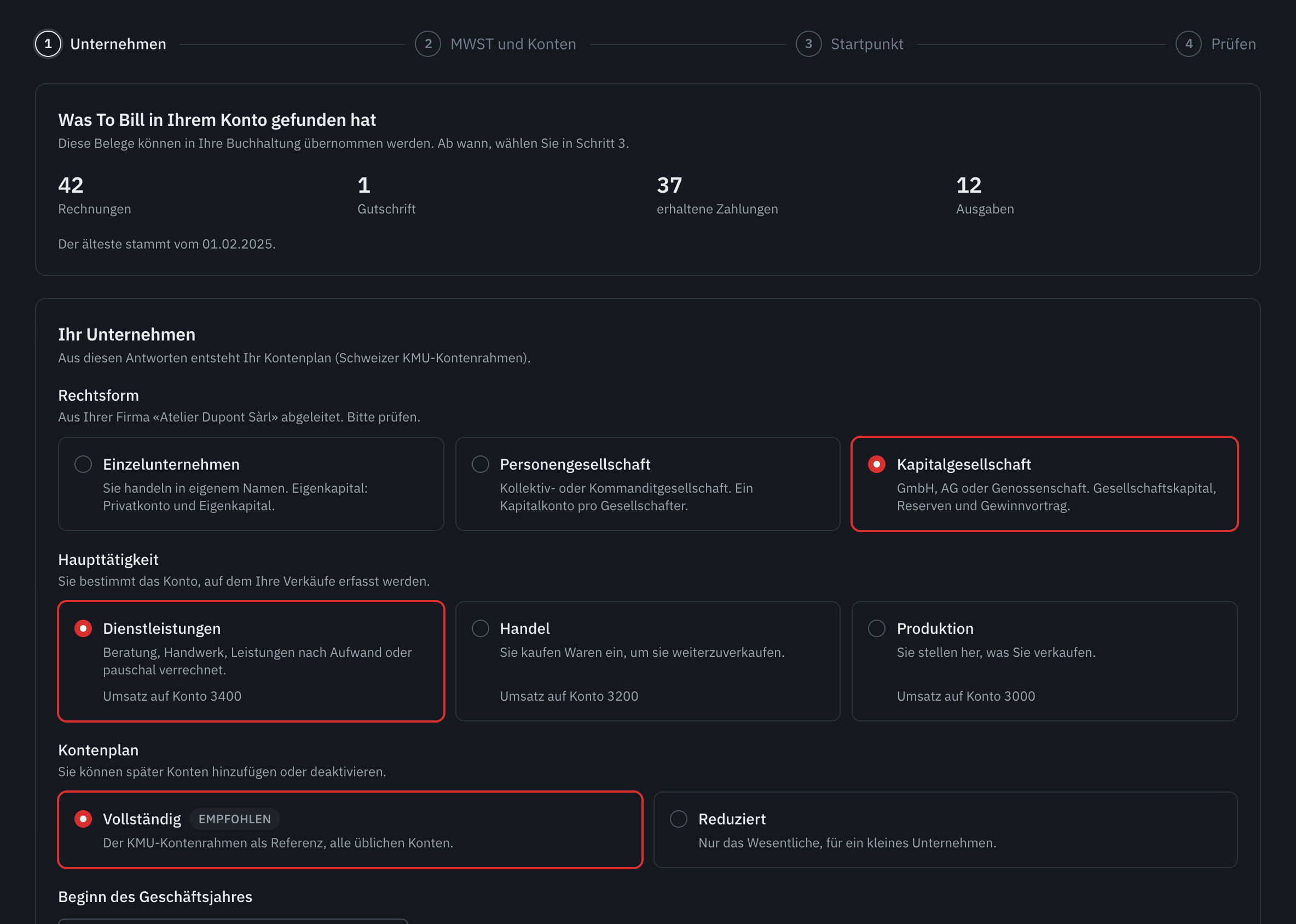 Der Schritt Unternehmen: die gefundenen Belege, die Rechtsform und die Haupttätigkeit.