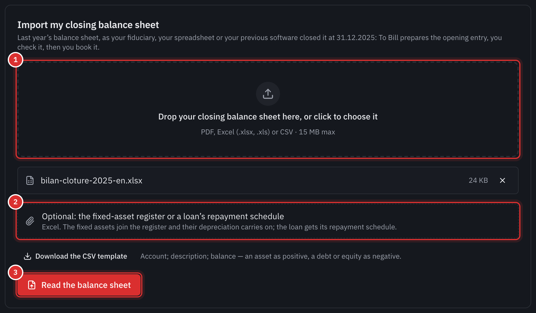 The Import my closing balance sheet box: the balance sheet file chosen, the optional box for the fixed-asset register or the loan repayment schedule, and the Read the balance sheet button.