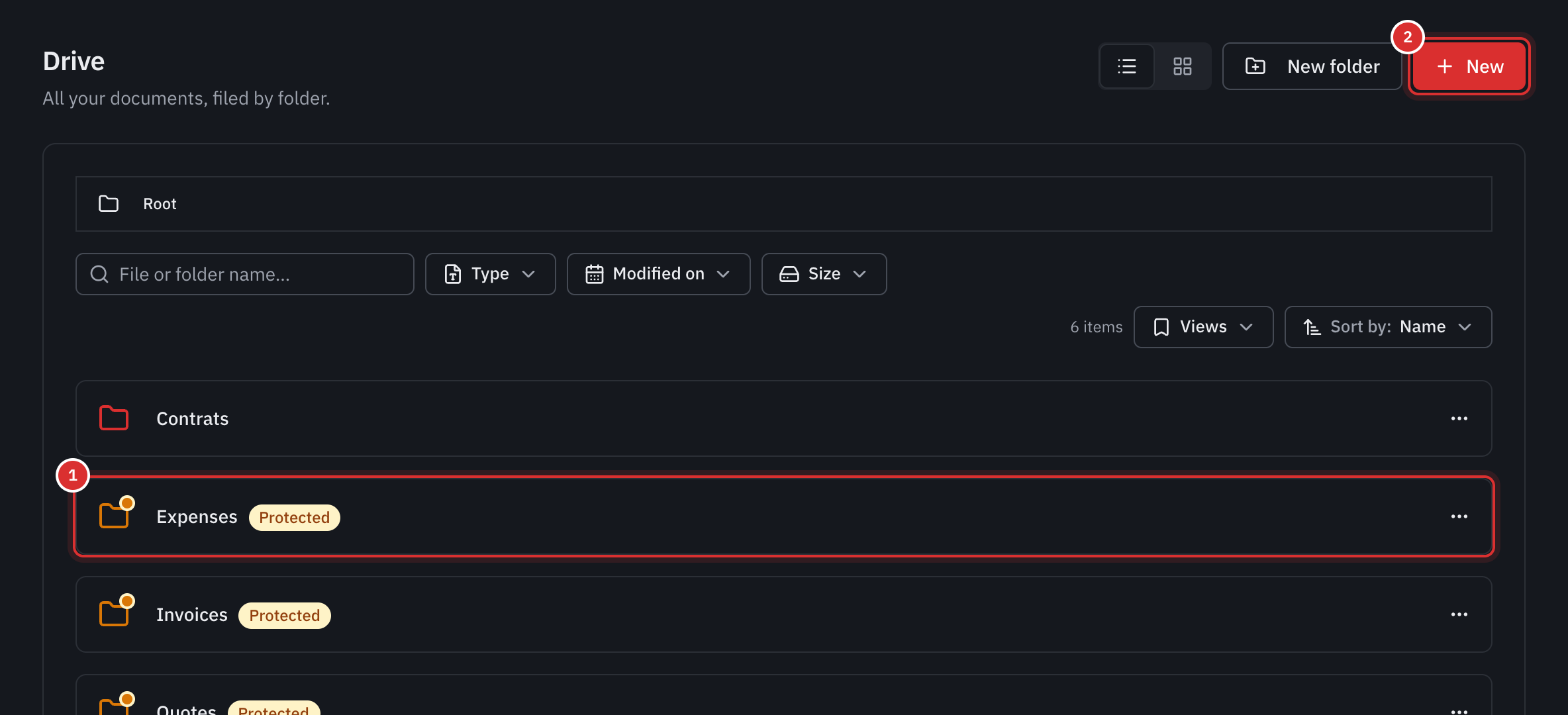 The Drive: the Contracts folder, the Expenses folder marked Protected, a PDF file, and the New Folder and New buttons.