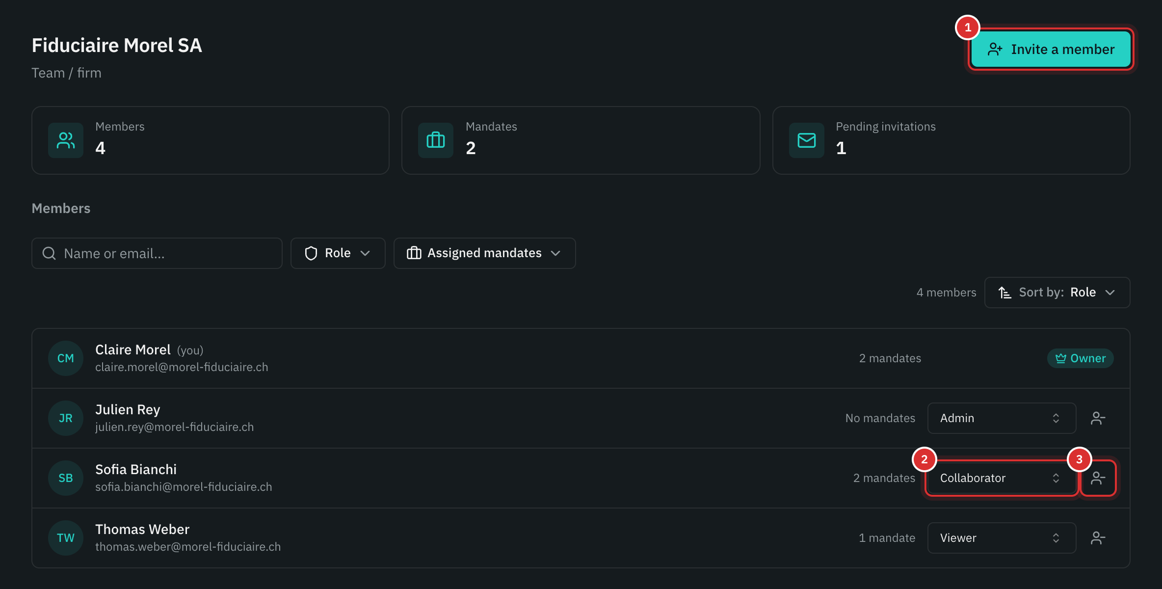 The Team page: the counters, the list of members with their role, and a pending invitation.
